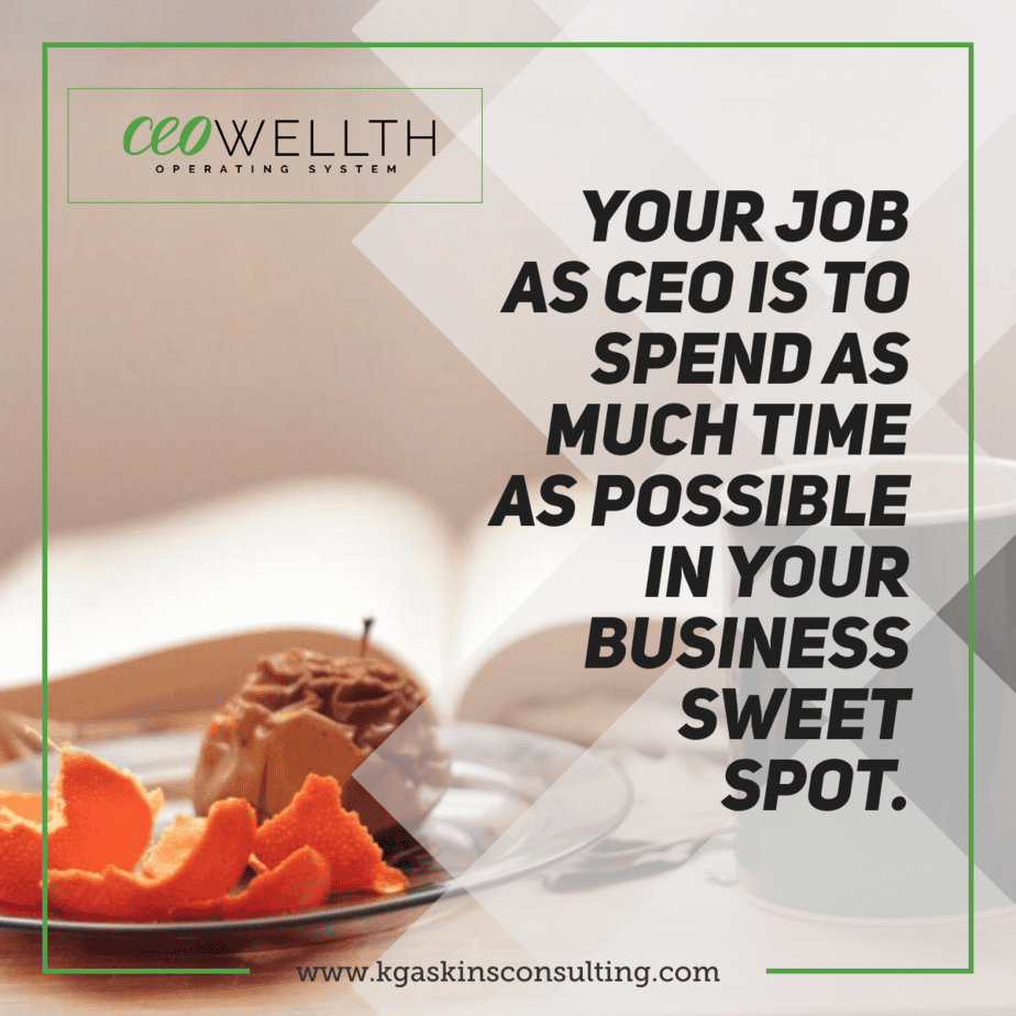 CEO health operating system for business productivity and growth.