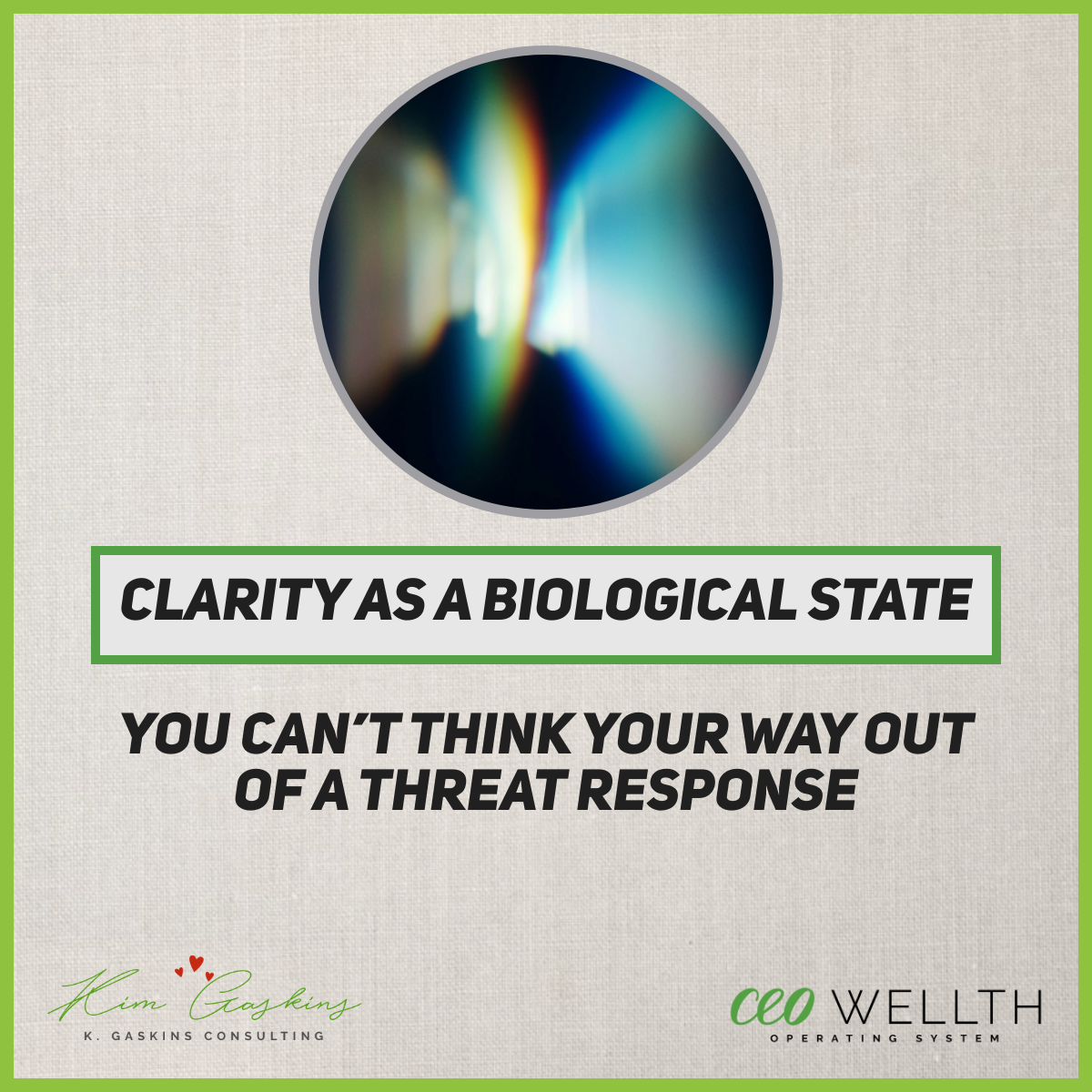 Refracted light representing the biological clarity of a regulated founder.