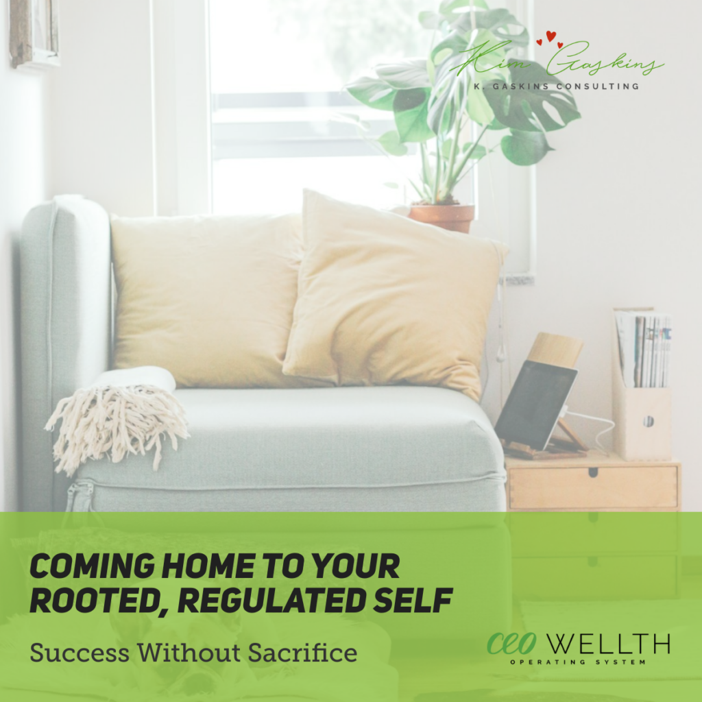 Regulated success and coming home to self in business.