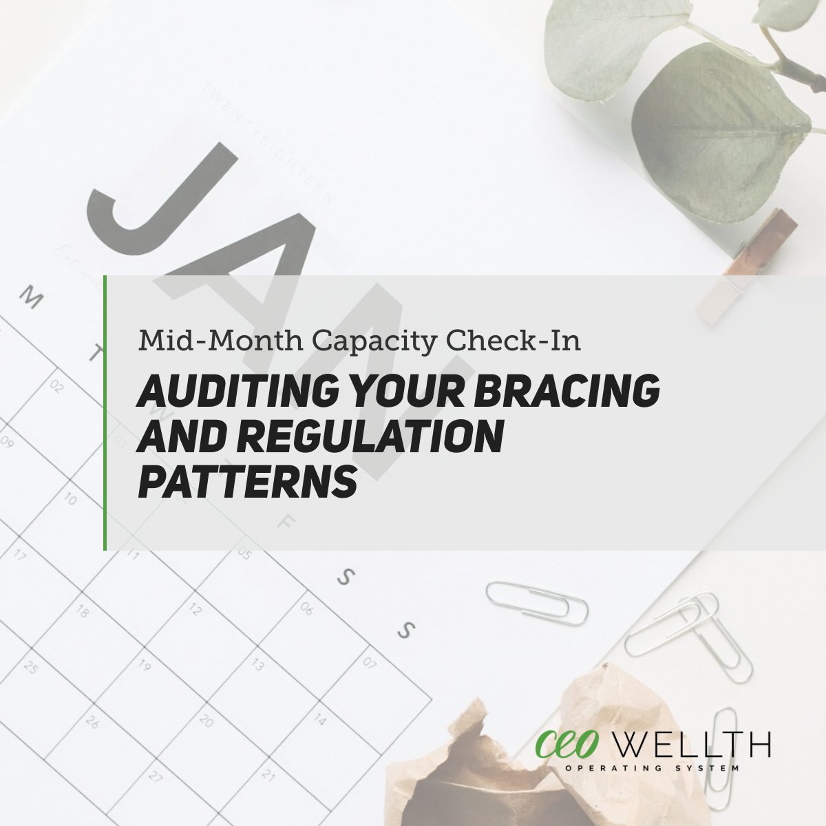 Mid-month capacity audit for business owners.