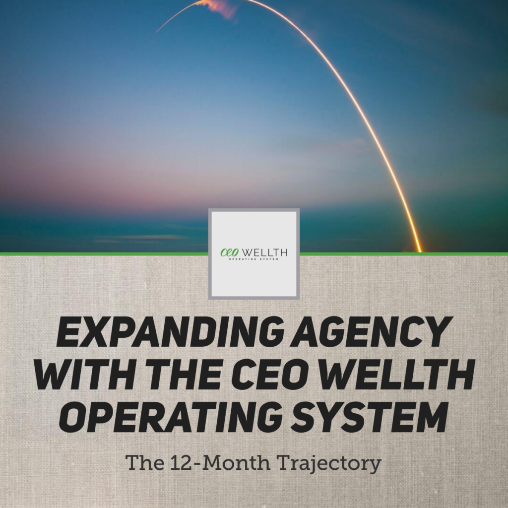 Scaling with the CEO Wellth Operating System beyond the capacity reset.