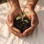 Hand holding seeding Hands holding soil with a small sprouting plant, used as the visual symbol for the Rooted Life Redesign program.